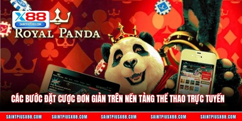 Các bước đặt cược đơn giản trên nền tảng thể thao trực tuyến